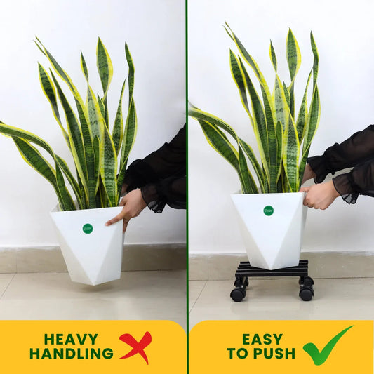 Wheel Rolling Plant Stand